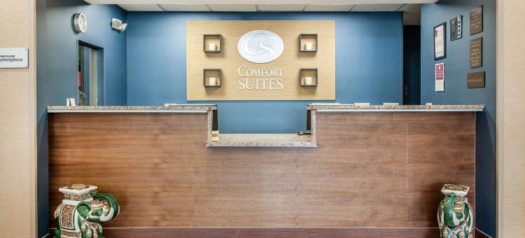 北部舒适套房酒店(Comfort Suites North)图片