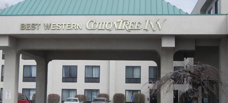 木棉树贝斯特韦斯特优质酒店(Best Western Plus CottonTree Inn)图片