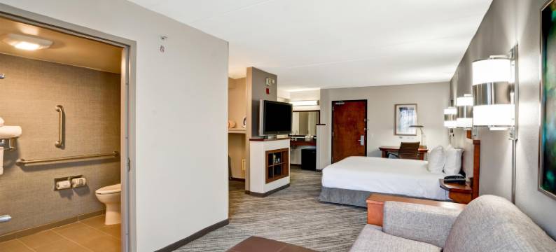 巴尔的摩 BWI 机场凯悦嘉轩酒店(Hyatt Place Baltimore BWI Airport)图片