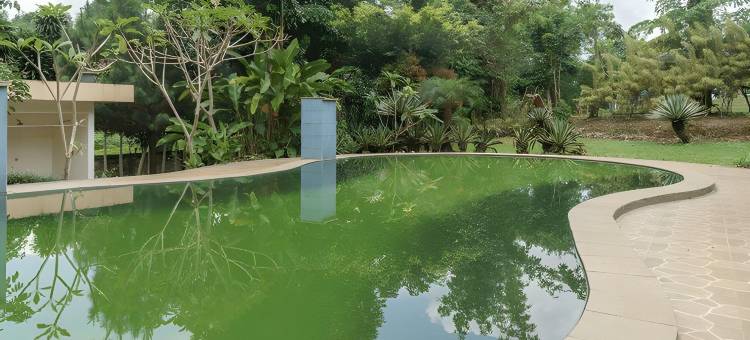 瑞德多兹普拉斯酒店 @ 洛达亚古农格力斯山(RedDoorz Plus @ Lodaya Gunung Geulis Puncak)图片