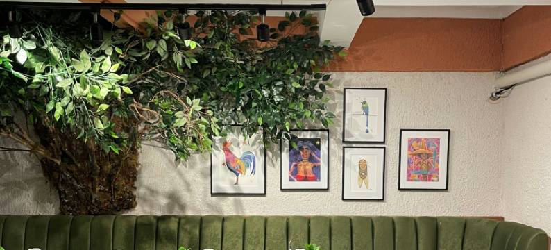 City Centro By Marriott San Salvador图片