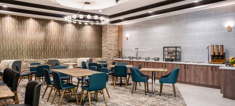 Holiday Inn & Suites 芝加哥西北 - 埃尔金(Holiday Inn & Suites CHICAGO NORTHWEST - ELGIN by IHG)图片