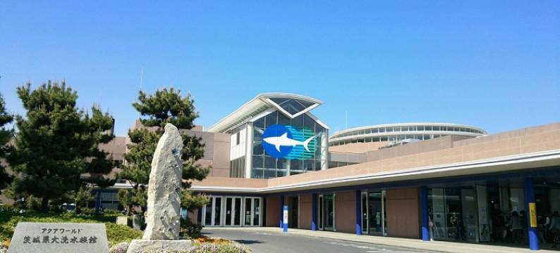 KOKO STAY 日立(旧 日立永安国际酒店)(KOKO STAY Hitachi(formerly Hotel Wing Hitachi))图片