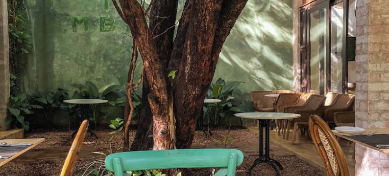 曼缇斯维多利亚瀑布酒店(Mbano Manor Hotel Victoria Falls)图片