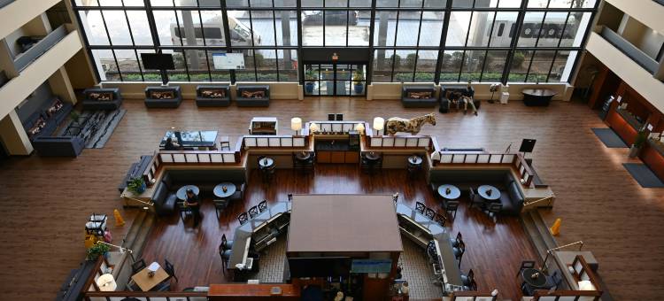 DFW机场中庭套房酒店(Atrium Hotel and Suites DFW Airport)图片