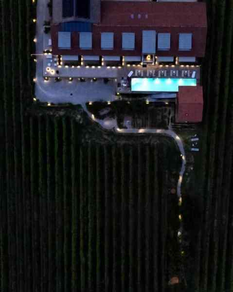 Vineho Hotel Overview
