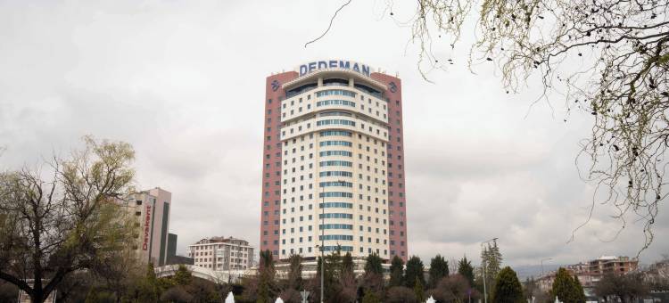 德德曼科尼亚酒店及会议中心(Dedeman Konya Hotel Convention Center)图片