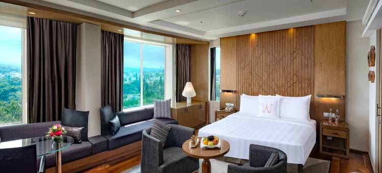 班加罗尔欢迎酒店(Welcomhotel by ITC Hotels, Richmond Road, Bengaluru)图片