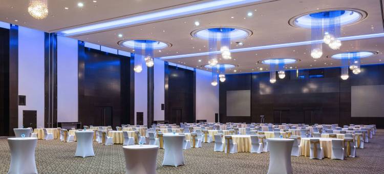 迪拜艾美酒店及会议中心(Le Méridien Dubai Hotel & Conference Centre)图片