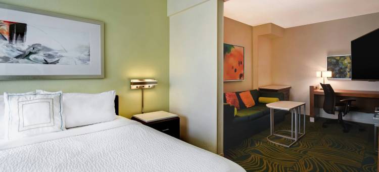巴尔的摩华盛顿国际机场 SpringHill Suites 酒店(SpringHill Suites Baltimore BWI Airport)图片