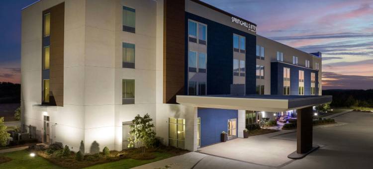 伯明翰加登代尔SpringHill Suites酒店(SpringHill Suites Birmingham Gardendale)图片