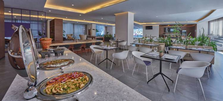 圣路易斯波托西州万豪City Express Plus酒店(City Express Plus by Marriott San Luis Potosí)图片
