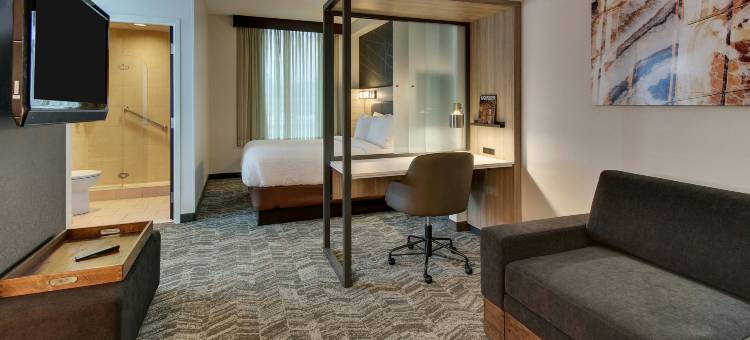 伯明翰市中心uab万豪SpringHill酒店(SpringHill Suites Birmingham Downtown at UAB)图片