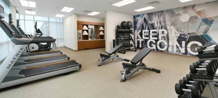 达拉斯DFW机场南中心港万豪SpringHill Suites酒店(SpringHill Suites Dallas DFW Airport South/CentrePort)图片