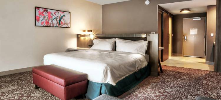 贝莱尔希尔顿花园酒店(Hilton Garden Inn Bel Air)图片
