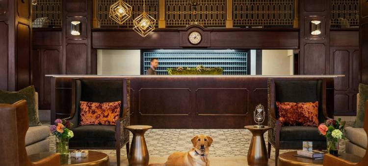傲途格精选北国酒店(Hotel Northland, Autograph Collection)图片