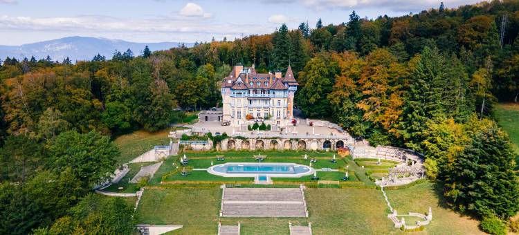 阿维尼耶尔城堡酒店(Château des Avenieres)图片