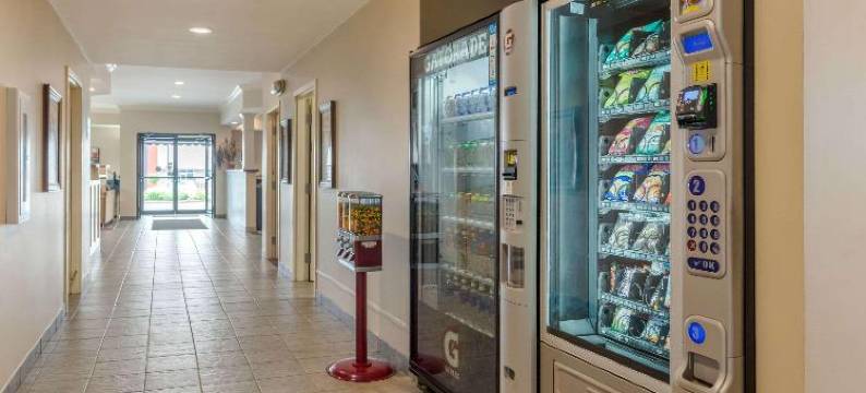 阿姆斯特丹凯艺套房酒店(Quality Inn & Suites Amsterdam)图片