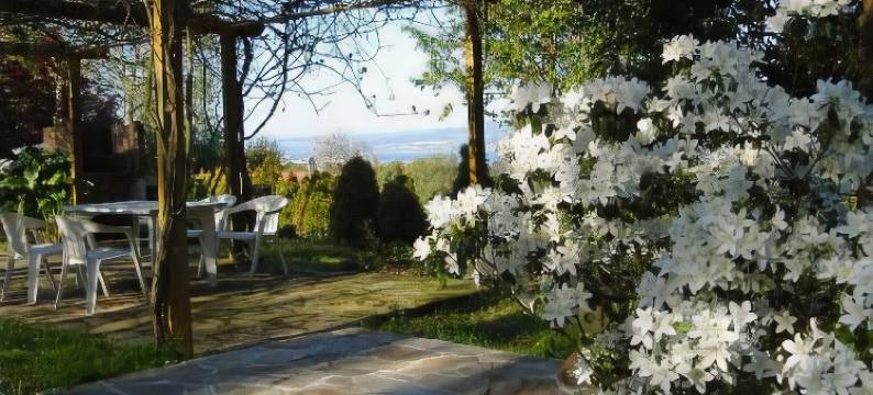 萨尔瓦多·卡斯特罗54酒店(El Castro 54)图片