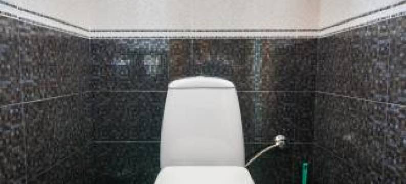 瓦西罗凡尼旅馆(Guesthouse Vashlovani)图片