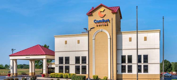 舒适全套房酒店(Comfort Suites)图片