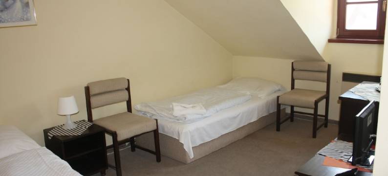 兹拉季克莉斯酒店(Hotel Zlatý Kříž)图片