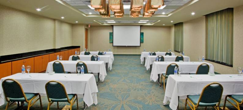 盖特威假日酒店&度假村(Holiday Inn & Suites WILLIAMSBURG-HISTORIC GATEWAY by IHG)图片