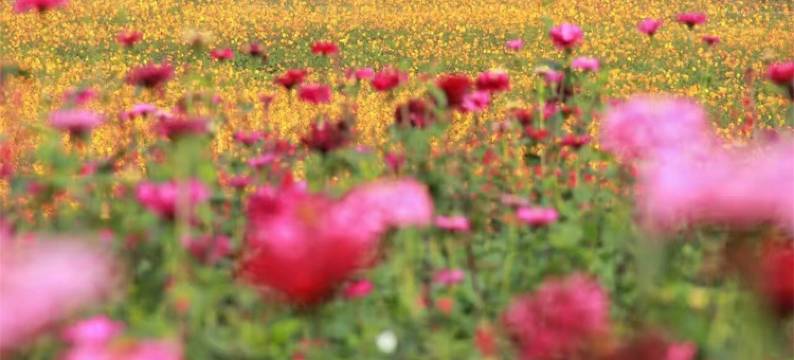 昌黎庆双宾馆图片