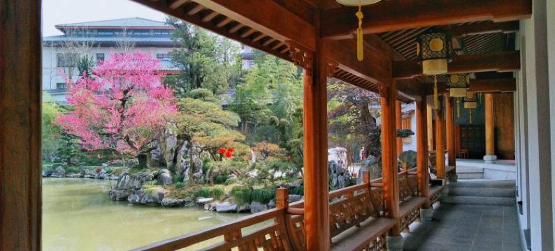 金华横店追星可代办门票客栈(春秋唐园拍摄基地分店)图片