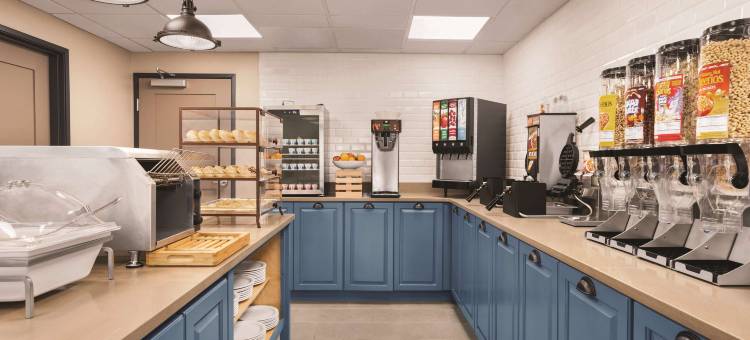 丽笙乡村套房酒店-乔治亚洲萨凡纳中城(Country Inn & Suites by Radisson, Savannah Midtown, GA)图片