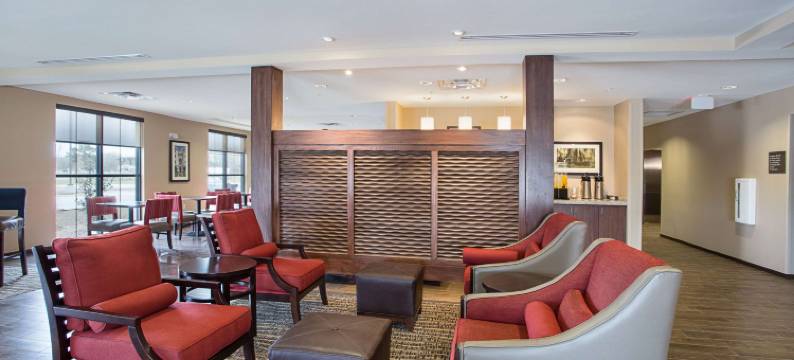 舒适套房酒店(Comfort Inn & Suites Zachary)图片