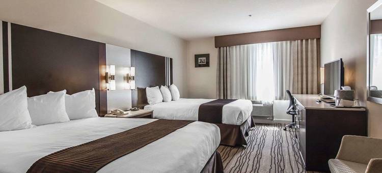 温哥华机场Comfort酒店(Comfort Hotel Vancouver Airport)图片