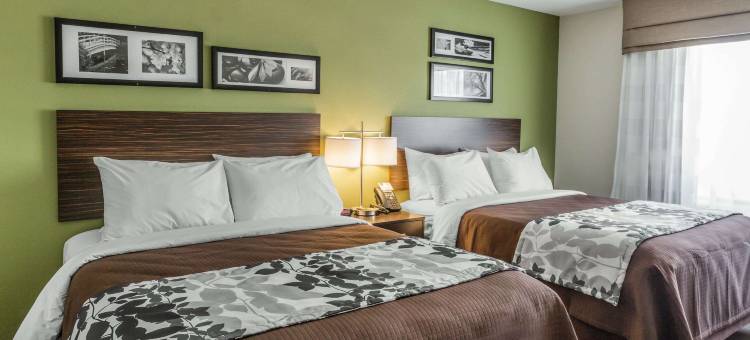 南代顿舒眠旅馆及套房(Sleep Inn & Suites Dayton South)图片