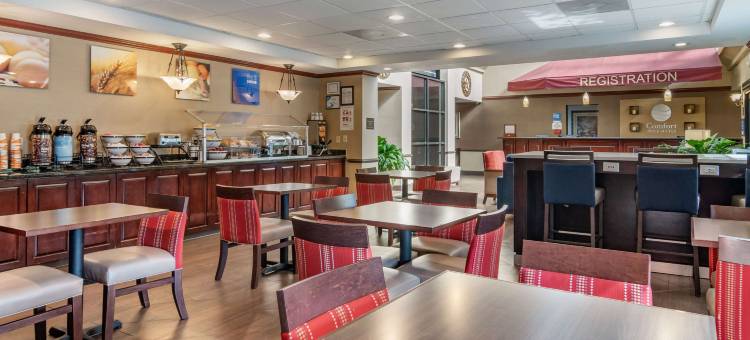 萨沃尼舒适套房酒店-秀格尔洛弗(Comfort Inn & Suites Suwanee - Sugarloaf)图片