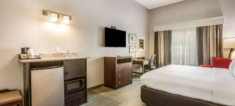 舒适酒店及套房费尔本 - 亚特兰大西南(Comfort Inn & Suites Fairburn - Atlanta Southwest)图片