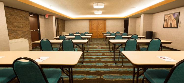 圣安东尼奥机场梨树酒店(Pear Tree Inn San Antonio Airport)图片