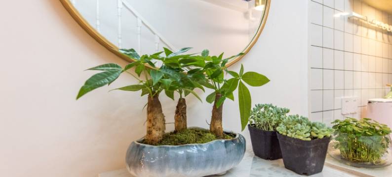 沫希上海民宿(淮海中路3号分店)图片