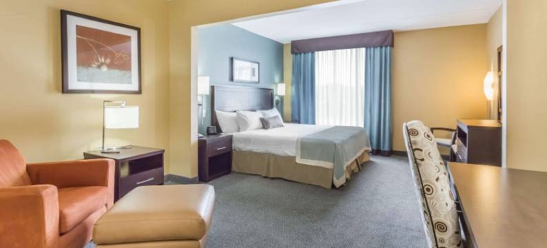 里贾纳蔚景温德姆酒店(Wingate by Wyndham Regina)图片