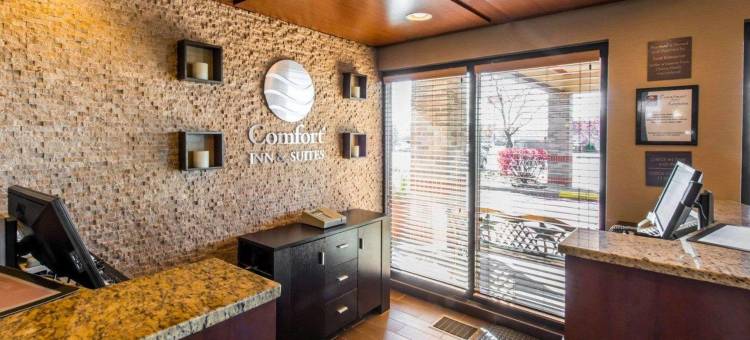 伊利舒适酒店(Comfort Inn & Suites)图片