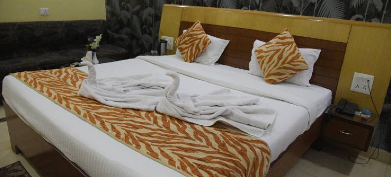 维纳亚克宫酒店(Hotel Vinayak Palace)图片