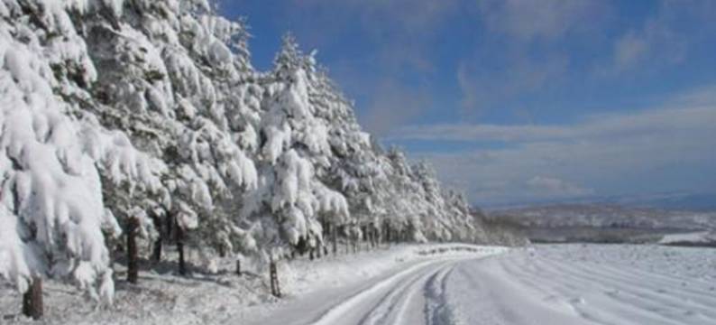 克恩塔德斯卡斯塔昂赫尔罗斯-特日斯姆乡村酒店(Quinta Dos Castanheiros - Turismo Rural)图片