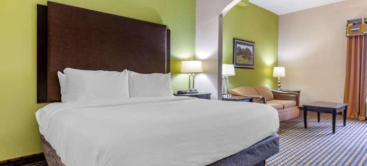 舒适酒店及套房-阿什伯勒东部(Comfort Inn & Suites Asheboro East)图片
