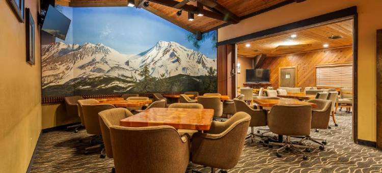 树屋贝斯特韦斯特优质酒店(Best Western Plus Tree House)图片