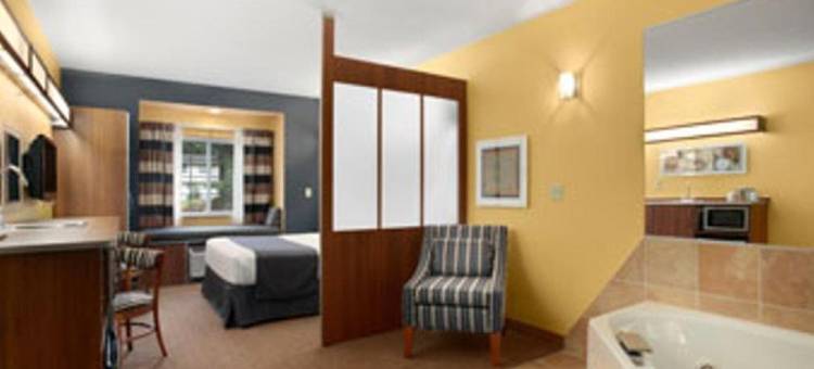 米利-罗切斯特机场麦客达套房酒店(Microtel Inn & Suites by Wyndham Chili/Rochester Airport)图片