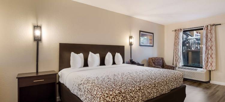 SureStay Hotel by Best Western St. Pete Clearwater Airport图片