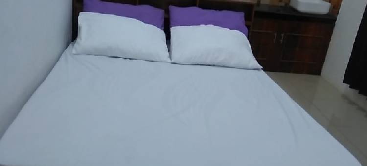 红色伙伴钻石巴塘宾馆(Guesthouse Berlian Batang Syariah Near Kampung Kalisalak Park)图片