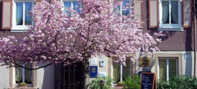 可乐思旅馆(Klösterle Hof)图片