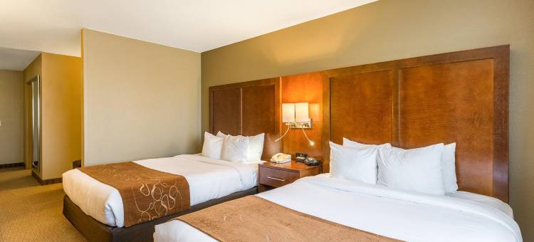 伯灵顿舒适套房酒店(Comfort Suites Burlington)图片