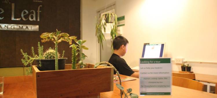 落叶服务式公寓(The Leaf Service Apartment)图片