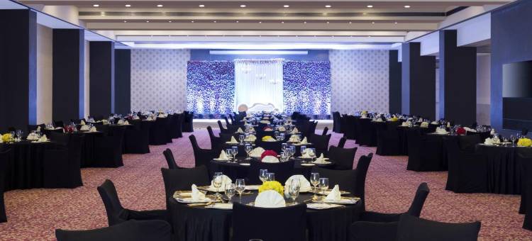 那格浦尔雷根塔中心酒店及会议中心(Regenta Central Hotel & Convention Centre Nagpur)图片
